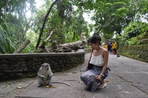 Monkey Forest 2