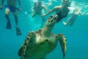 Snorkeling Blue Lagoon (2)