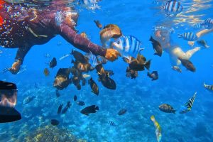 Snorkeling Blue Lagoon (3)