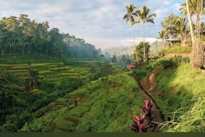 WhatsApp Image 2026-01-19 at 12.29.36