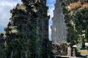 WhatsApp Image 2026-01-19 at 12.29.49 (1)