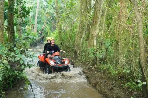 atv (4)