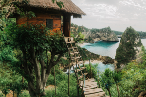 tree house